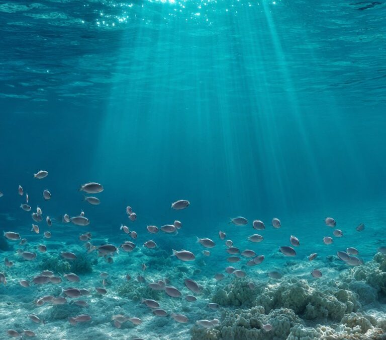 Błękitne głębiny oceanu